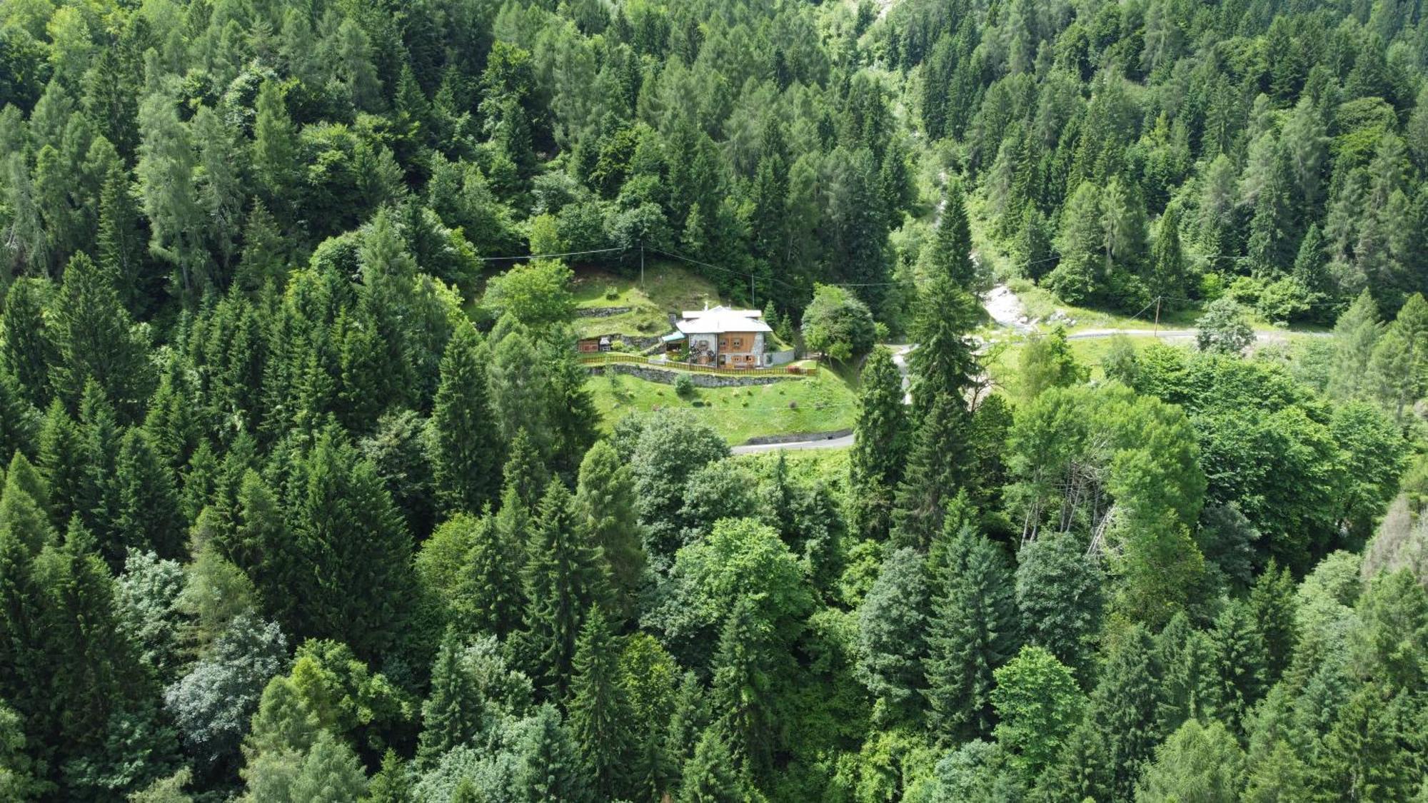 Maso Moretto Pieve Tesino Exteriér fotografie